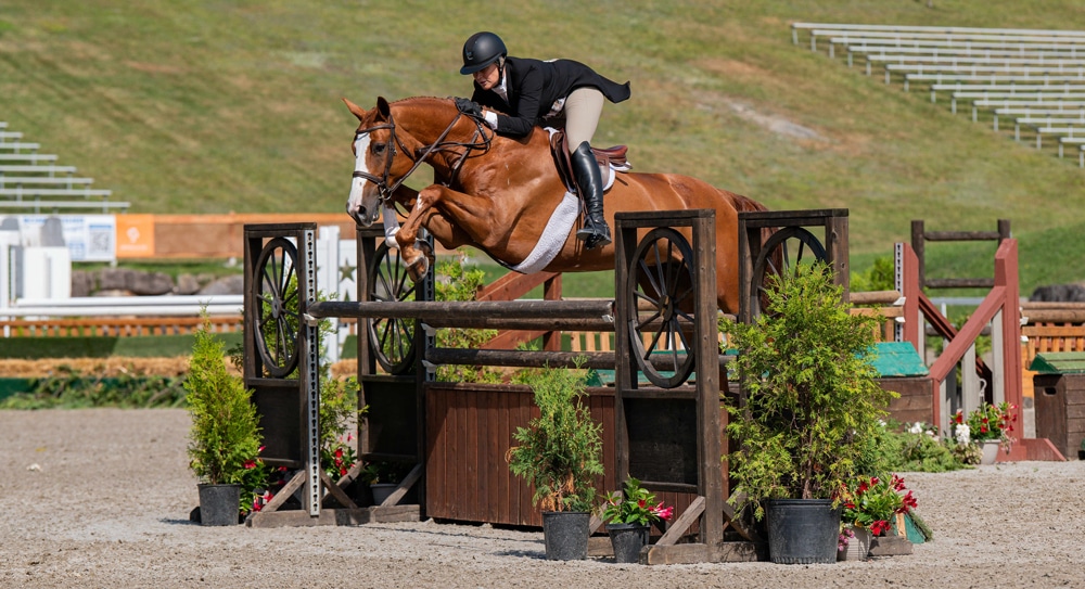 A woman jumping a chestnut horse over a fence during a hunter derby.