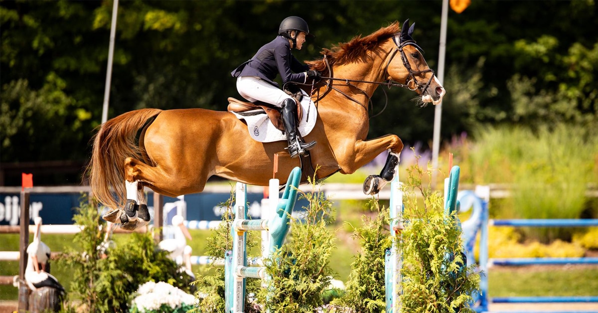 A woman jumping a chestnut horse over a fence at Traverse City.