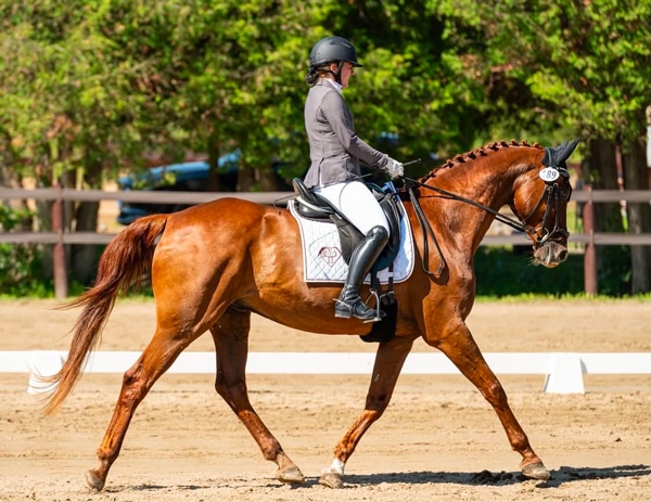 A young girl riding a chestnut dressage horse.