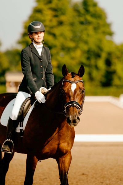 A young girl patting a bay dressage horse.