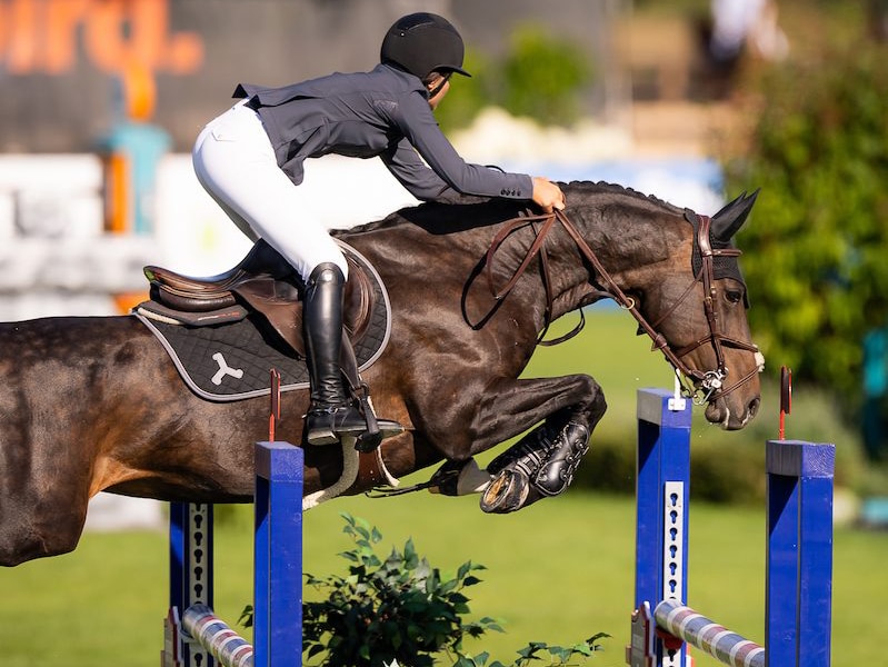 A woman jumping a dark bay horse over a fence at tbird.