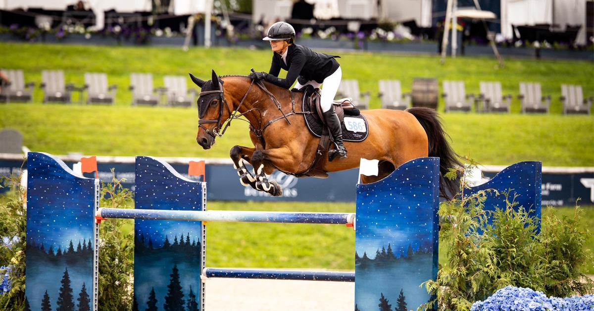 A woman jumping a bay horse over a fence at Traverse City.