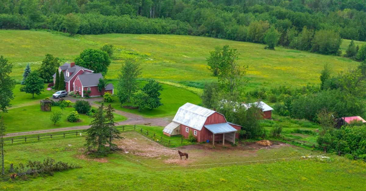 Thumbnail for $699,000 for a large, lovely property in Malagash, Nova Scotia