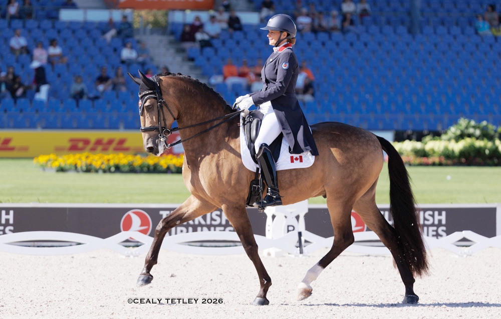 A woman in a dressage arena on a bay horse.