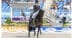 A man riding a dark bay horse in a dressage arena.