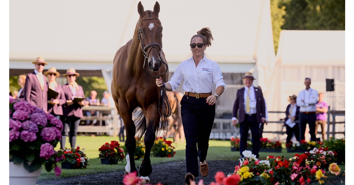 A woman jogging a horse at an FEI inspection.