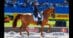 A woman riding a chestnut horse ion a dressage arena.
