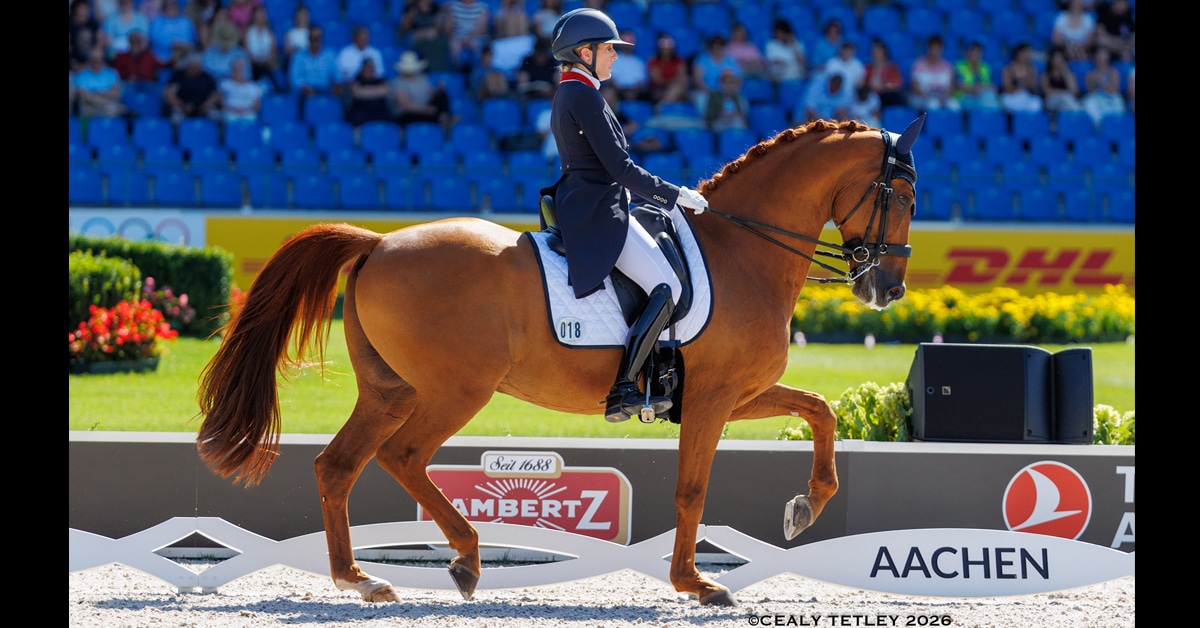 A woman riding a chestnut horse ion a dressage arena.