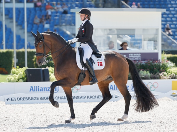 A woman riding a bay dressage horse in a competition.