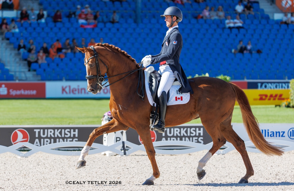 A man riding a chestnut mare in dressage competition.