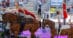 A woman and a man in a vaulting competition.
