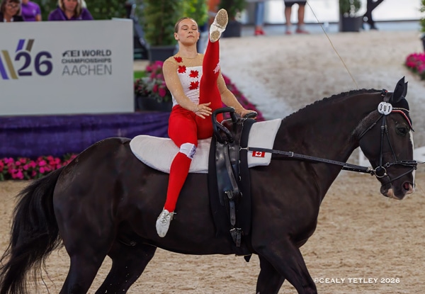 A woman performing a vaulting move on a bay horse.