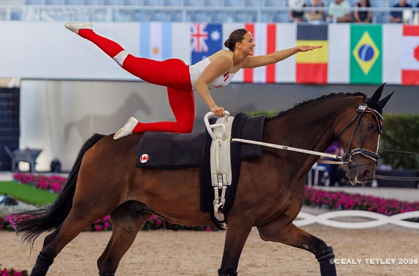 A woman performing a vaulting move on a bay horse.