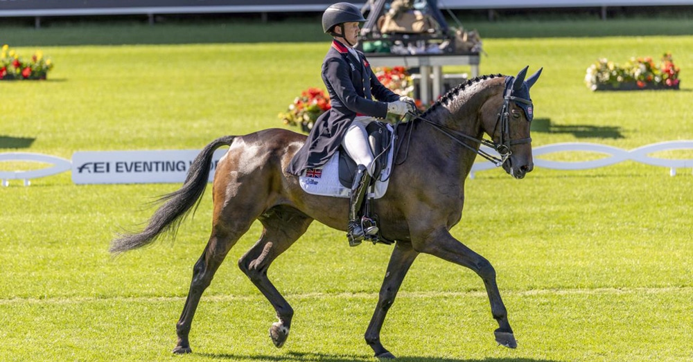A man riding a bay eventing horse during a dressage test.