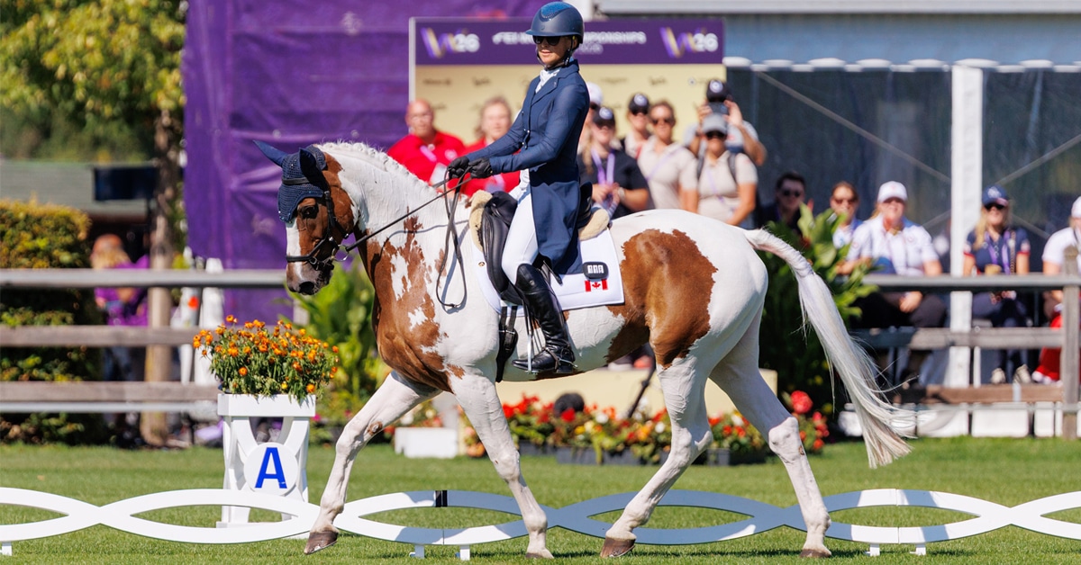 A woman riding a paint horse during a dressage test.
