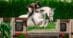 A woman riding a grey horse over a hunter fence.