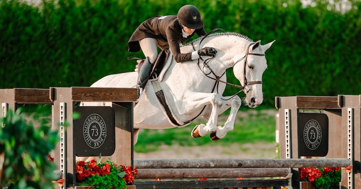 A woman riding a grey horse over a hunter fence.