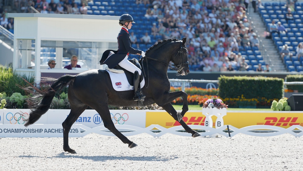 A woman riding a dark bay dressage horse during a competition.