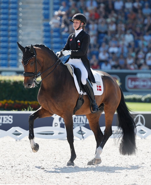 A woman riding a bay dressage horse in competition.