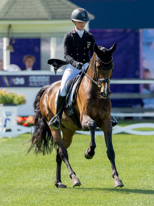 A woman riding a bay eventing horse during the dressage phase.