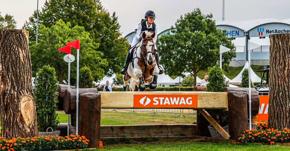 A woman jumping a pain mare over a cross-country fence.