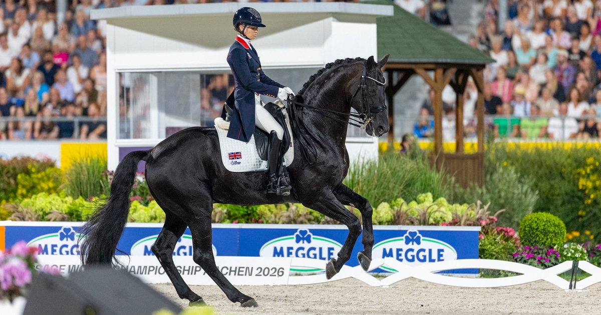A woman performing a dressage test on a black horse.