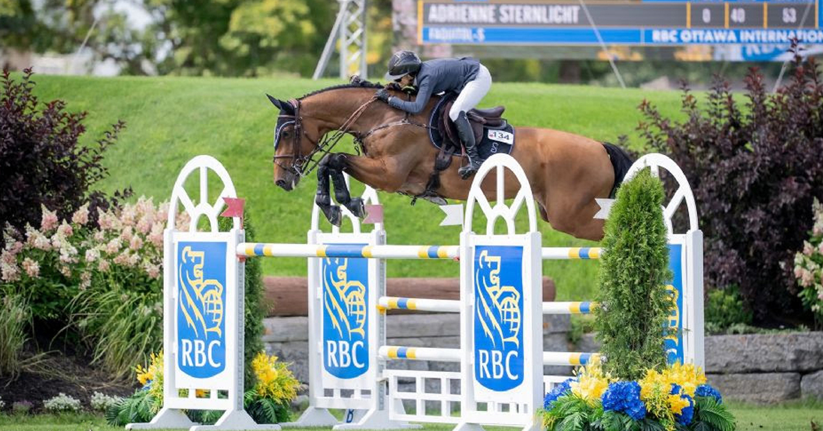 A woman jumping a bay horse over a fence in Ottawa.