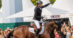 A man on a bay horse celebrating after a show jumping round.