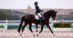 A para rider in competition at the 2024 Olympics.