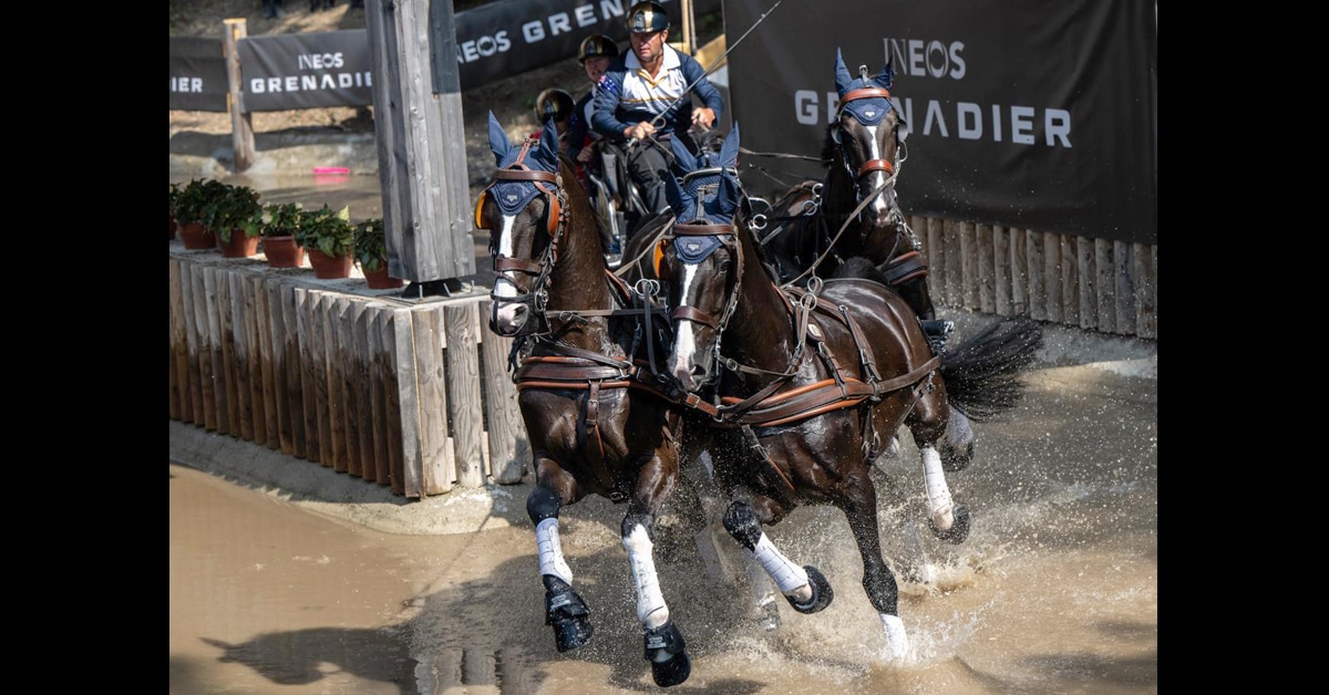 A team of four horses being driven through a water obstacle.