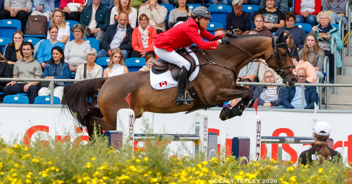 A man in a red jacket jumping a bay horse over a fence in Aachen.