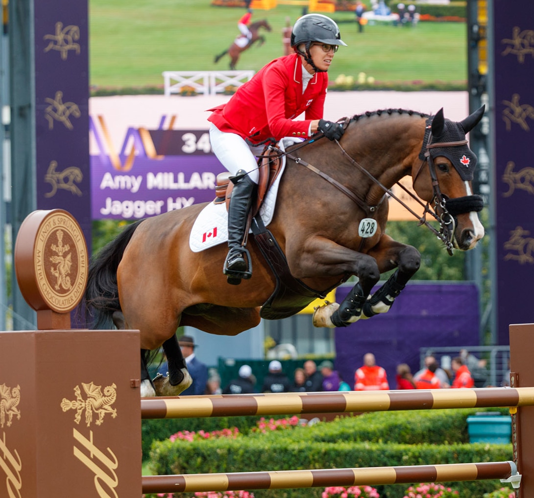 A woman wearing a red jacket jumping a bay horse over a fence. 
