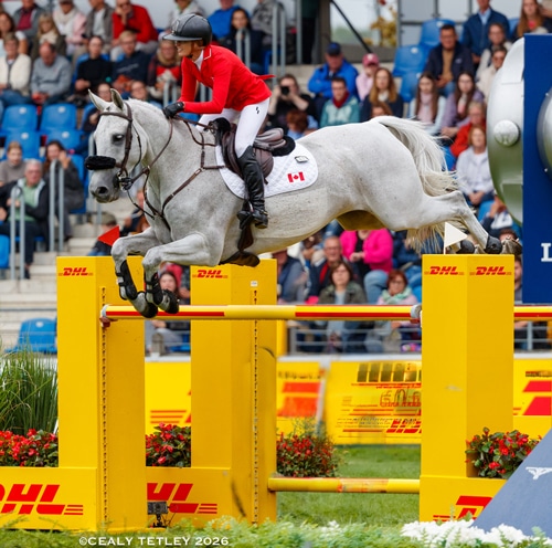 A woman wearing a red jacket jumping a grey horse over a fence.