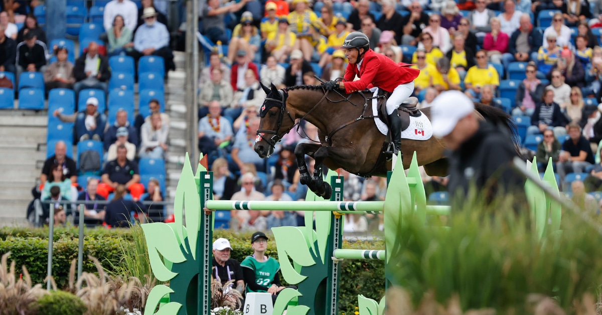 A man jumping a bay horse over a large fence in Aachen.