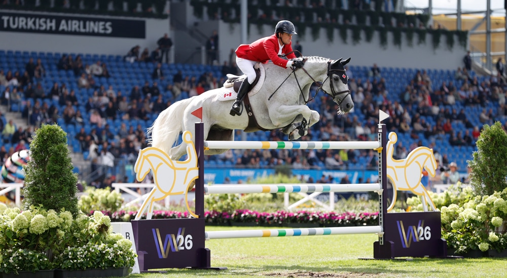 A man jumping a grey horse over a fence in Aachen.