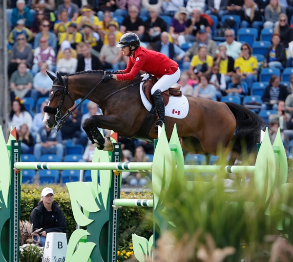 A woman jumping a bay horse over a fence in Aachen.