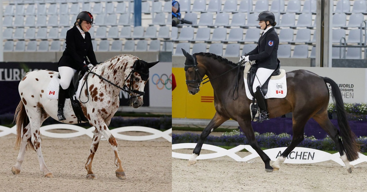Two para dressage riders performing tests.