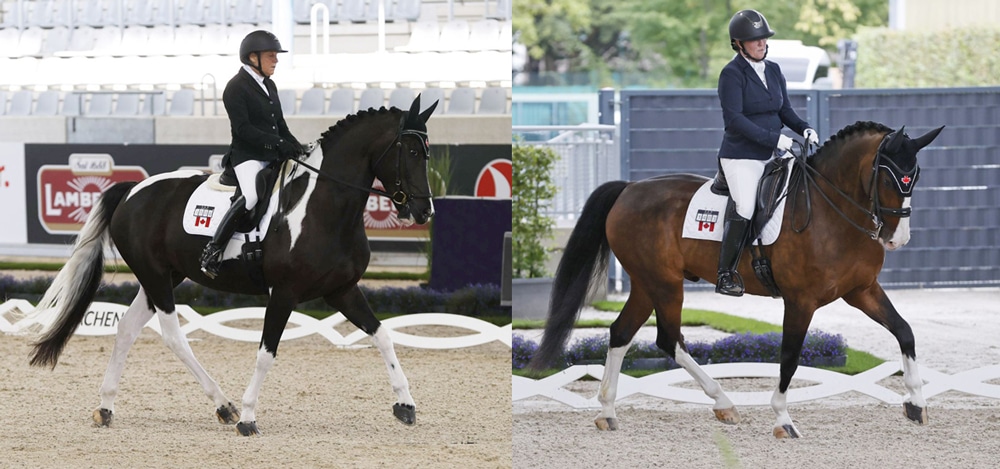 Two para dressage riders performing tests.