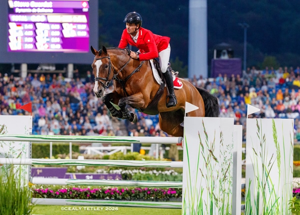 A man in a red jacket jumping a bay horse over a fence in Aachen.