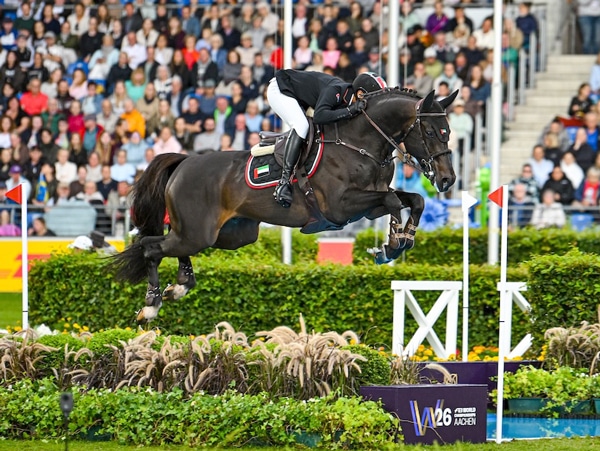 A man jumping a dark bay horse over a water jump in Aachen.