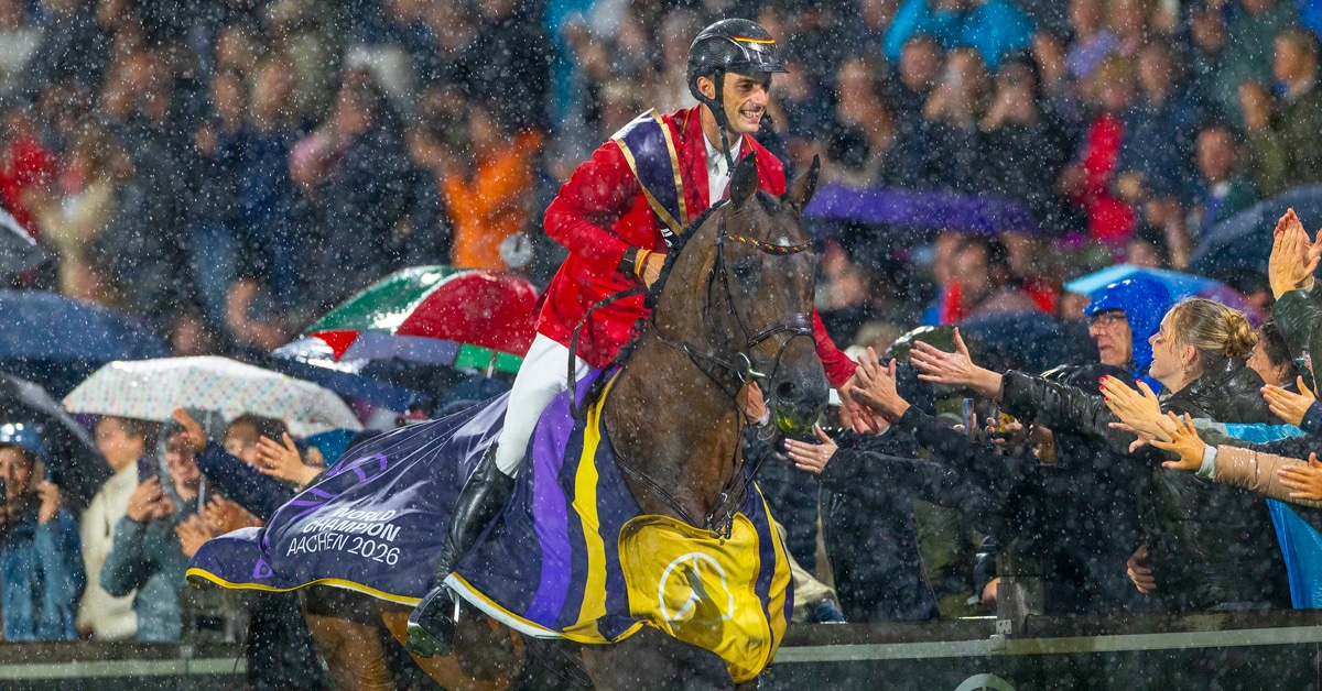 A man on a bay horse galloping past a crowd in the pouring rain.