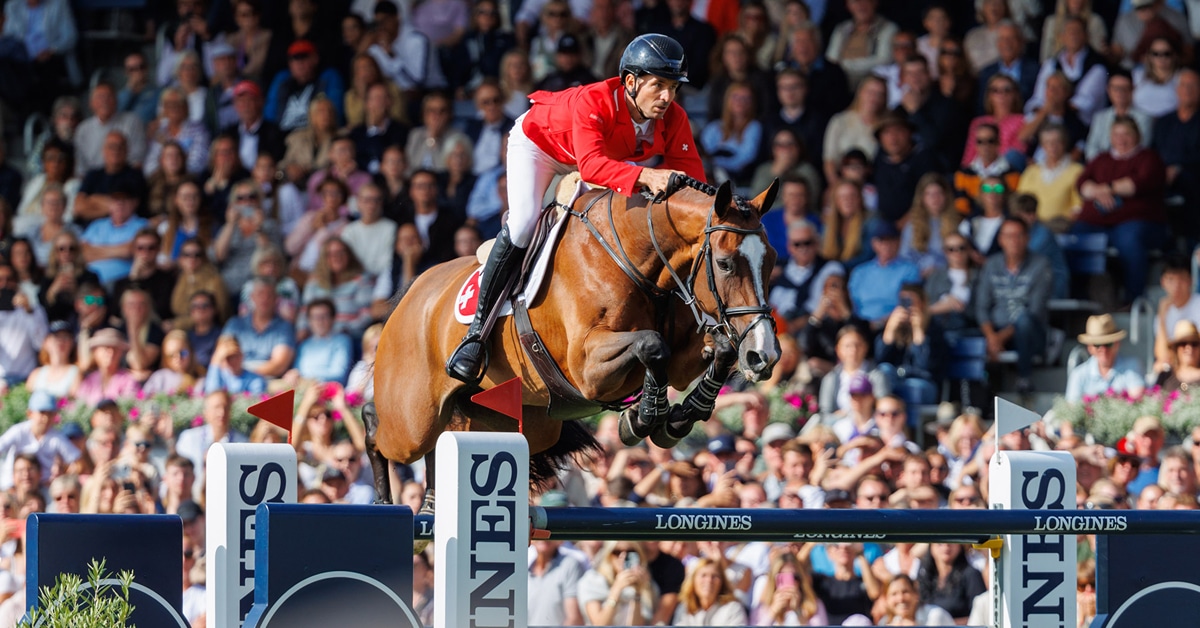 A man jumping a bay mare over a fence in Aachen.