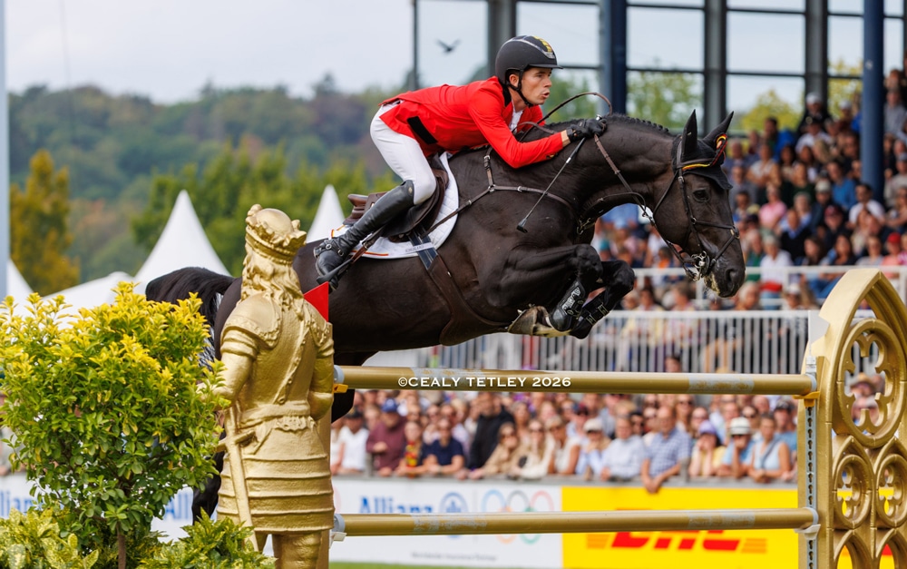 A young man jumping a dark bay horse over a fence in Aachen.