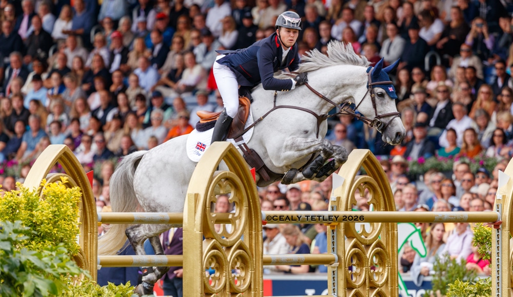 A man jumping a grey horse over a fence in Aachen.