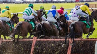 Horses during a steeplechase race.