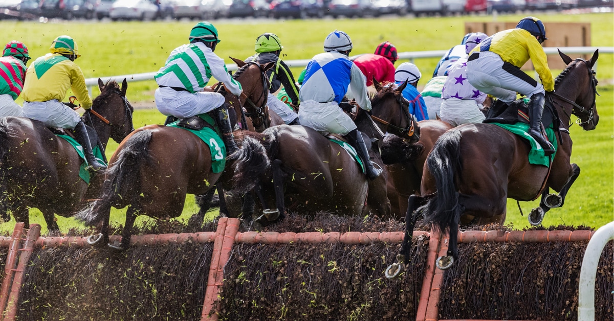 Horses during a steeplechase race.