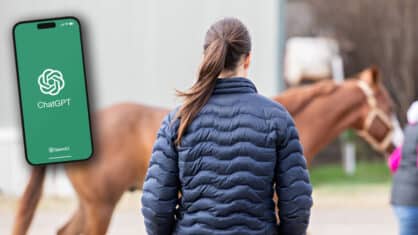 A phone displaying ChatGPT; a vet watching a horse being trotted.