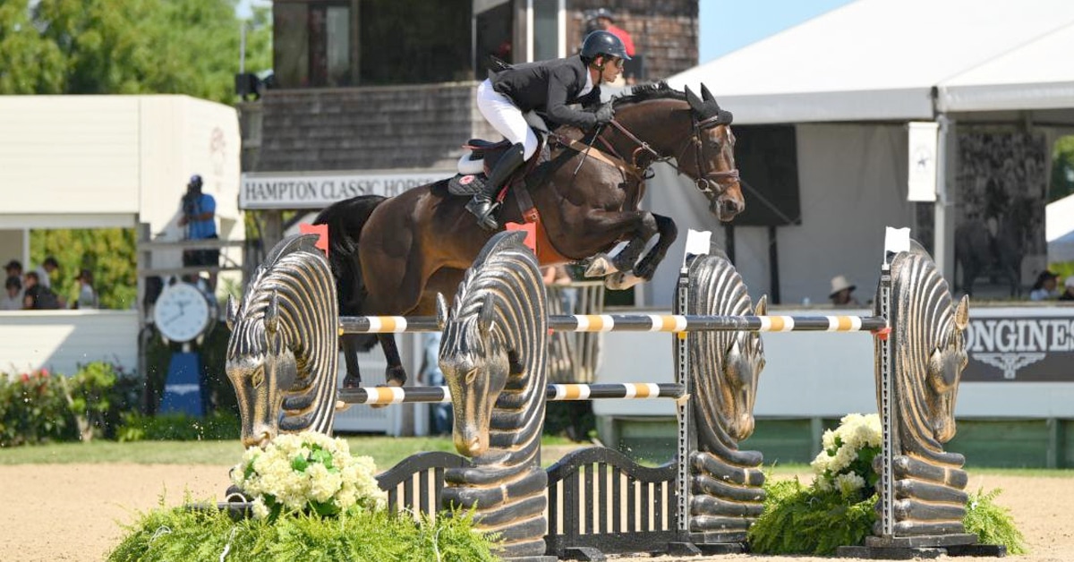 A man jumping a dark bay horse over a fence in the Hamptons.