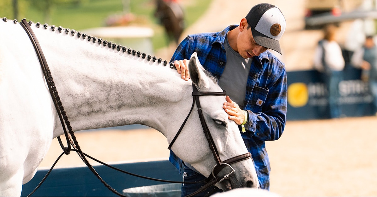 A man stroking a grey horse's head at a show.