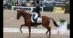 A man riding a chestnut horse in a dressage arena.